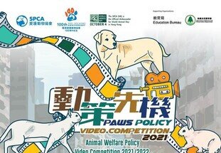 Animal- Welfare Policy Video Competition 2021/22 by SPCA